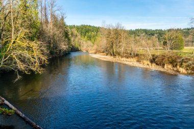 Washington 'daki Flaming Geyser State Park' taki Green River manzarası. Kış geldi..