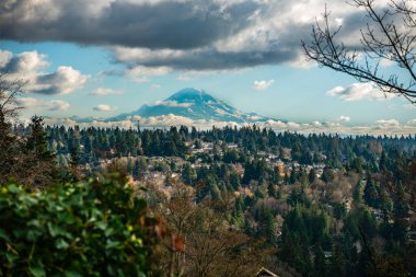 Aralık ayında Washington, Burien 'den Rainier Dağı manzarası. Ön plandaki evler.