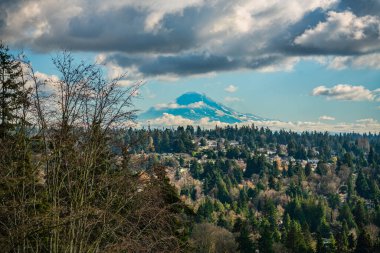 A view of Mount Rainier from Burien, Washington  in December. Homes in the foreground. clipart