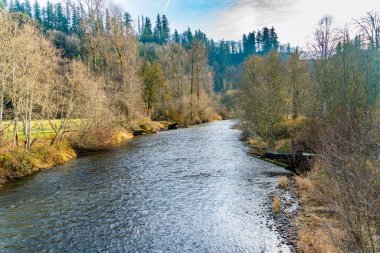 Washington 'daki Flaming Geyser State Park' taki Green River manzarası. Kış geldi..