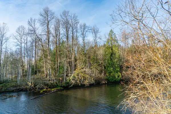 Washington 'daki Flaming Geyser State Park' taki Green River manzarası. Kış geldi..