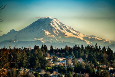 Mount Rainier Burien, Washington bir görünümünü.