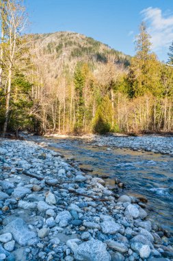 A view of a stream flowing into the Skagit River in Washington State. clipart