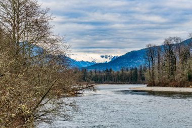 Washington 'da Skagit Nehri' nin 20. karayolu boyunca manzarası.
