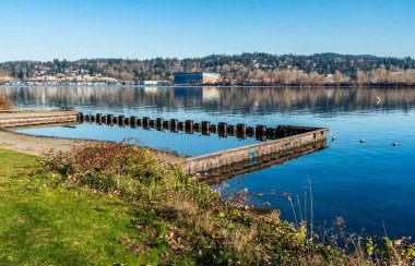 A pier along the shore of Mercer Island in Washington State. clipart