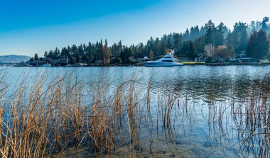 A view of the shoreline at Mercer Island, Washington. clipart