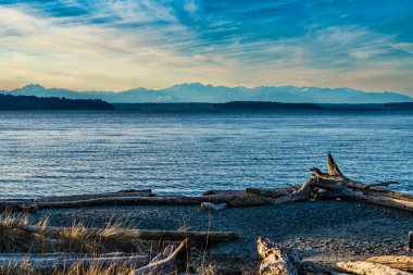 Burien, Washington 'daki Seahurst Beach Park' taki Puget Sound ve dağların manzarası..