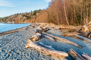 Burien, Washington Seahurst Beach Park'ta kıyısındaki bir görünüm.