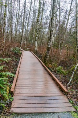Federal yoldaki West Hylebos Wetlands Parkı 'ndaki kışın sahil yolu manzarası..