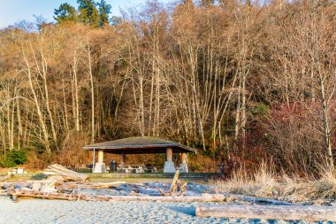 Kış ağaçlarının manzarası Burien, Washington 'daki Seahurst Plaj Parkı..