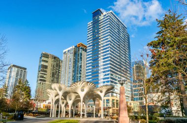 Bellevue, Washington 'daki yüksek binaların manzarası. Fotoğraf Bellevue Şehir Parkı 'ndan..