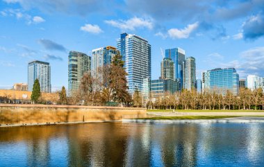 Bellevue, Washington 'daki Bellevue City Park' ta bir gölet manzarası..