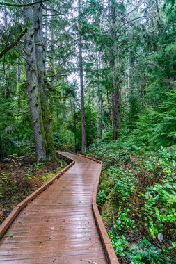 Federal yoldaki West Hylebos Wetlands Parkı 'ndaki kışın sahil yolu manzarası..