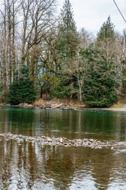 Rockport, Waslhington 'da ağaçlar ve nehir manzarası.