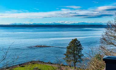 Des Moines, Washington 'daki okyanus ve dağların manzarası.