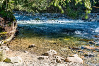 Washington 'da Twin Falls yakınlarındaki Snoqualmie Nehri' nin detaylı bir görüntüsü..
