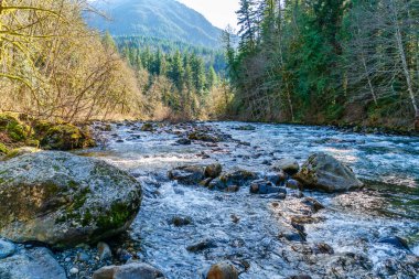 Washington 'daki Twin Falls yakınlarındaki Snoqualmie Nehri' ndeki kayaların üzerinden akan su manzarası.