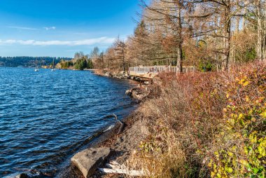 Renton, Washington 'daki Gene Coulon Park' ta yürüyen bir köprü..