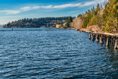 Washington, Renton 'da Washington Gölü kıyısındaki eski kazıklar.