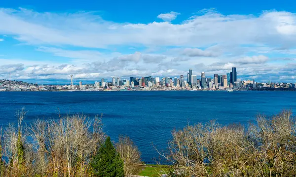 Seattle, Washington 'daki Elliott Körfezi' nin ufuk çizgisi manzarası.