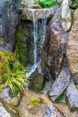 Seatac, Washington 'daki bir bahçedeki şelalenin detaylı bir görüntüsü..
