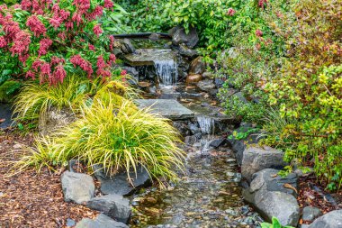 Seatac, Washington 'da kayalık bir bahçe manzarası.