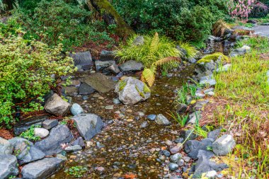 Seatac, Washington 'da kayalık bir bahçe manzarası.