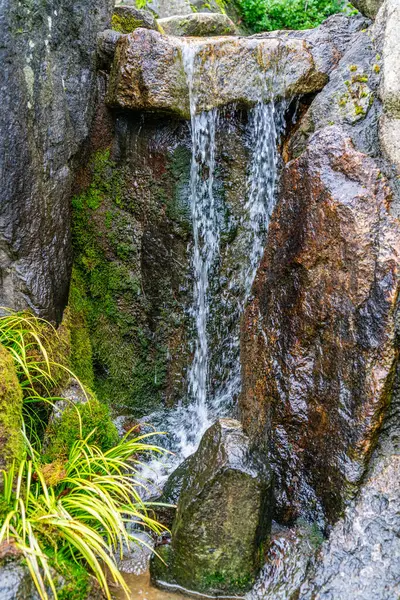 Seatac, Washington 'daki bir bahçedeki şelalenin detaylı bir görüntüsü..