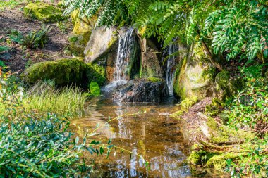 Bellevue, Washington 'da küçük bir şelale manzarası.