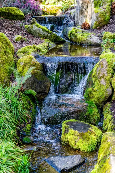 Bellevue, Washington 'da küçük bir şelale manzarası.