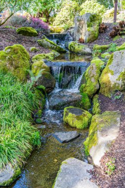 Bellevue, Washington 'da küçük bir şelale manzarası.