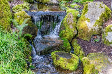 Bellevue, Washington 'da küçük bir şelale manzarası.