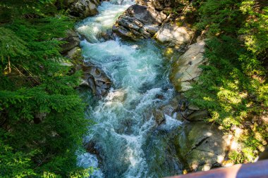 Denny Crrek 'in Washington' daki dalgalı su manzarası.