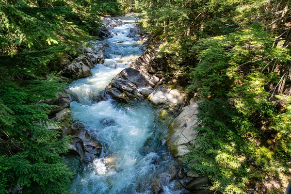 Denny Crrek 'in Washington' daki dalgalı su manzarası.