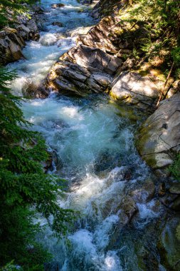 Denny Crrek 'in Washington' daki dalgalı su manzarası.