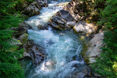 Denny Crrek 'in Washington' daki dalgalı su manzarası.