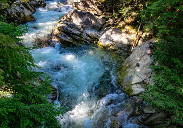 Denny Crrek 'in Washington' daki dalgalı su manzarası.