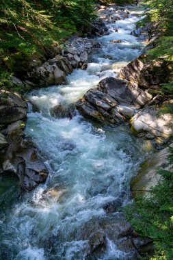 Denny Crrek 'in Washington' daki dalgalı su manzarası.