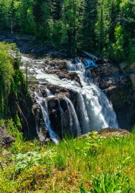 Washington 'daki Snoqualmie Falls' un zirvesi.