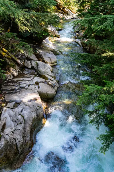 Denny Crrek 'in Washington' daki dalgalı su manzarası.