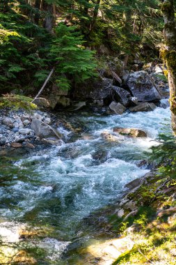 Washington 'da Denny Creek' teki Whitewater 'ın detaylı bir fotoğrafı..