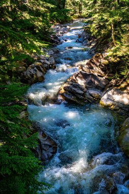 Denny Crrek 'in Washington' daki dalgalı su manzarası.