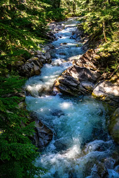 Denny Crrek 'in Washington' daki dalgalı su manzarası.
