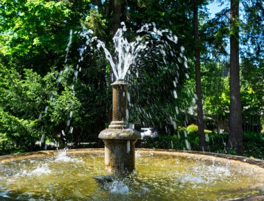 Normandiya Parkı, Washington 'daki bir çeşmenin yakın çekimi..