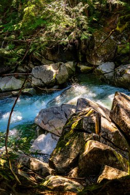 Washington 'da Denny Creek' teki Whitewater 'ın detaylı bir fotoğrafı..