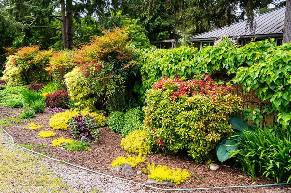 Burien, Washington 'da bir bahçe manzarası.