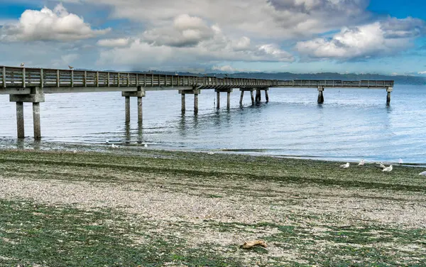 Dash Point, Washington 'da boş bir rıhtım manzarası.