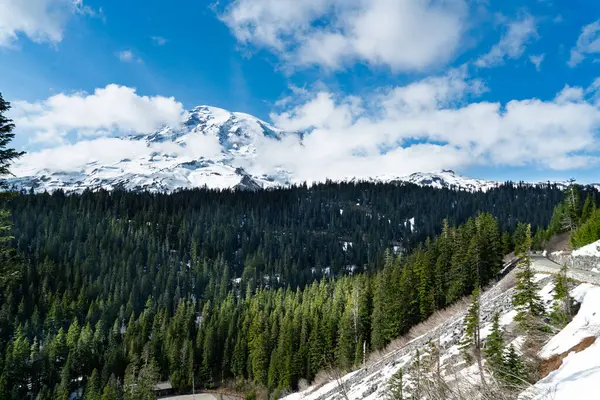 Washington 'da ağaçları ve bulutları olan Rainier Dağı' nın manzarası.