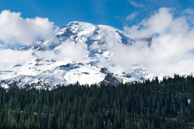 Washington 'da ağaçları ve bulutları olan Rainier Dağı' nın manzarası.