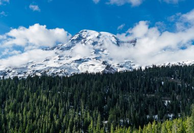 Washington 'da Rainier Dağı ve yemyeşil ağaçların manzarası.